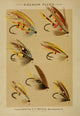 Fishing with the Fly 1883 Salmon Flies Poster Print depicting beautifully illustrated salmon flies.