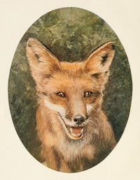Squirrels & Other Fur-Bearers Vintage Poster Print showcasing charming furry creatures.