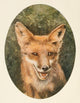 Squirrels & Other Fur-Bearers Vintage Poster Print showcasing charming furry creatures.