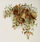 Fulness of Joy 1886 Holly Bells Poster Print showcasing festive holly bells.