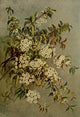 Guide to the Trees Wild Red Cherry Poster Print by Ellis Rowan
