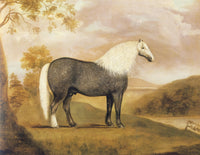 Punch, A Grey Cart-Stallion 1835 Poster Print by J. of Northleach Miles