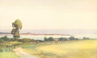 Devon 1913 Exmouth from Cockwood Poster Print by Frederick J. Widgery