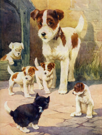 Favourite Animals c.1928 Friend or Foe Poster Print featuring whimsical animal illustrations.