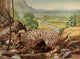 Wild Cat Poster Print from Birds & All Nature series, showcasing nature's beauty.
