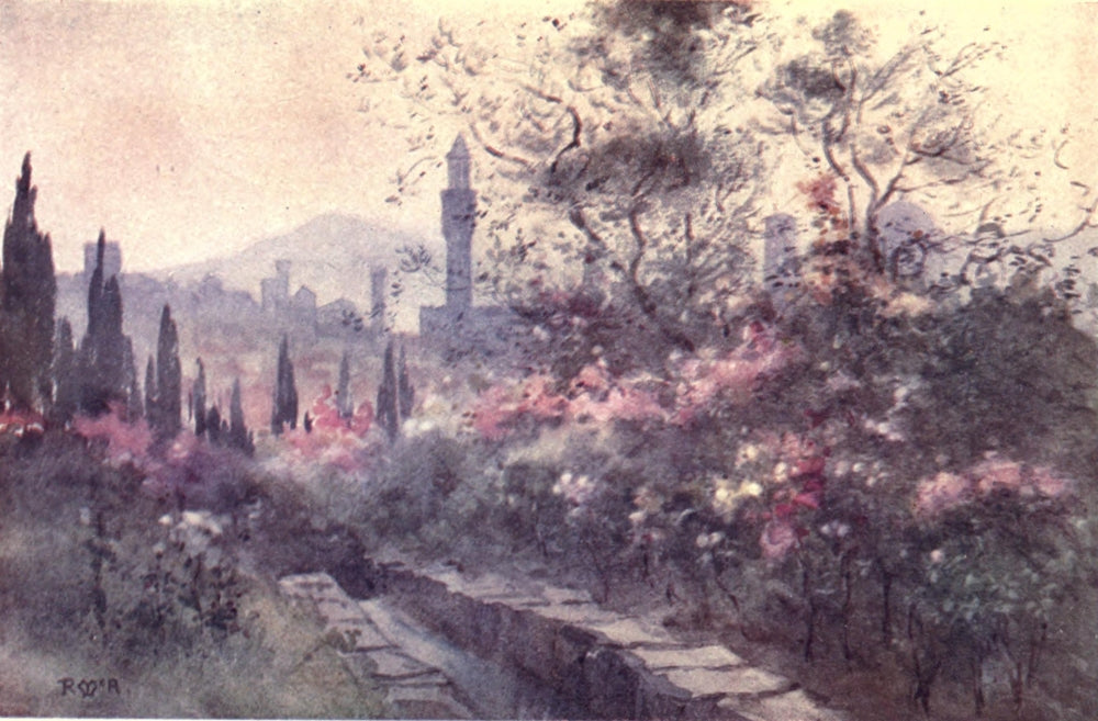 Rambles in Florence 1912 Poster Print by Rose McAndrew showcasing vibrant floral details.