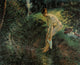 Bather in the Woods art print by Camille Pissarro, showcasing a serene scene in nature.