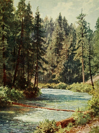 California 1914 McCloud River Poster Print by H. Sutton Palmer showcasing serene landscape.