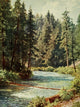 California 1914 McCloud River Poster Print by H. Sutton Palmer showcasing serene landscape.
