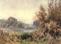 Surrey 1906 Autumn Weeds Poster Print by Harold Sutton Palmer