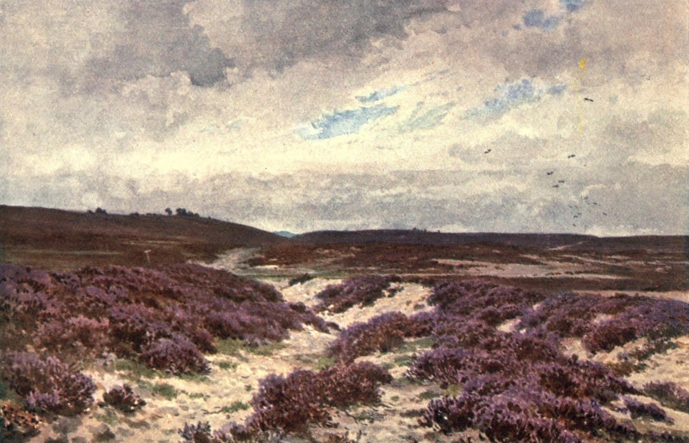 Surrey 1906 Frensham Common Poster Print by Harold Sutton Palmer