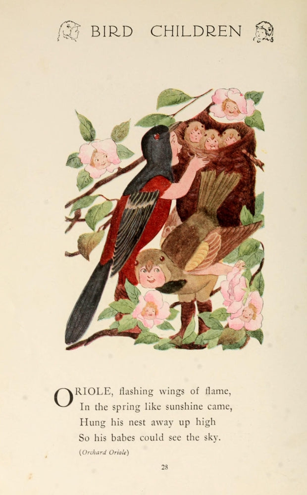 Bird Children 1912 Oriole Poster Print by M.T. Ross showcasing vibrant colors and detailed artwork.