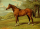 Book of the Horse 1880 Stilton A Hunter Poster Print by A. Sheldon-Williams