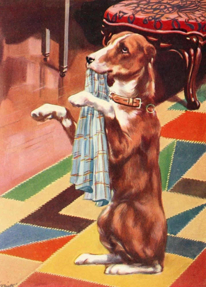 Beautiful Joe 1907 Poster Print by John Nicholson