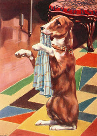 Beautiful Joe 1907 Poster Print by John Nicholson