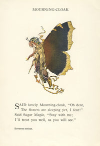 Butterfly Babies 1914 Mourning Cloak Poster Print by M.T. Ross