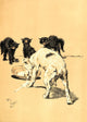 A Dog Day 1902 Stealing the Cats' Milk poster print by Cecil Aldin