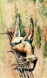 The Uganda Protectorate 1902 Gazella Thomsoni Poster Print by Sir Harry Johnston