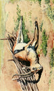 The Uganda Protectorate 1902 Gazella Thomsoni Poster Print by Sir Harry Johnston
