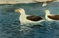 Wild Life of the World 1916 Albatross Poster Print by F.W. Kuhnert.