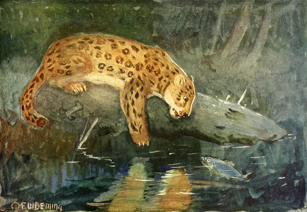 American Animal Life 1916 Jaguar Poster Print by E.W. Deming