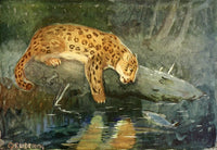 American Animal Life 1916 Jaguar Poster Print by E.W. Deming
