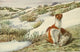 1918 Least Weasel Poster Print by L.A. Fuertes showcasing North America's wildlife.