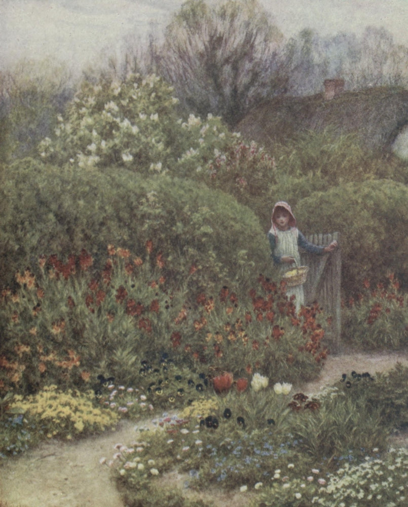 Happy England 1904 Wallflowers Art Print by Helen Allingham