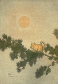 Canoeing in the Wilderness Red Squirrel Poster Print by Will Hammell