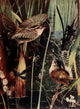 Bird Neighbors Marsh Wren Poster Print by Henry C. Denslow
