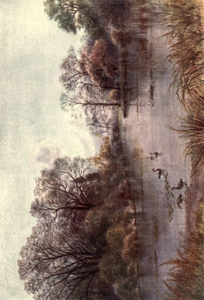 Kew Gardens 1908 The Lake Poster Print by Thomas Mower Martin