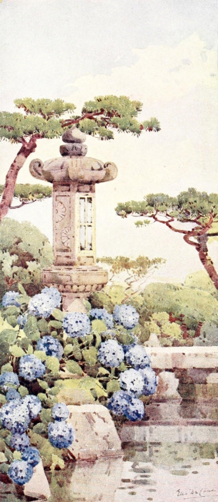 Hydrangea Bush Flowers & Gardens of Japan 1908 Poster Print by Ella Du Cane.