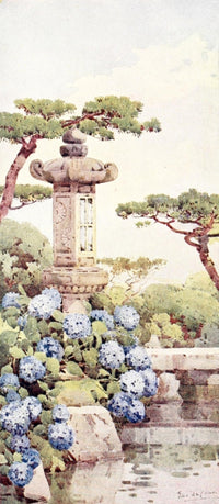 Hydrangea Bush Flowers & Gardens of Japan 1908 Poster Print by Ella Du Cane.