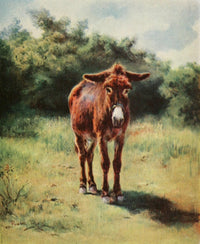 The Ass Fine Art Print by Rosa Bonheur featuring a beautiful donkey.