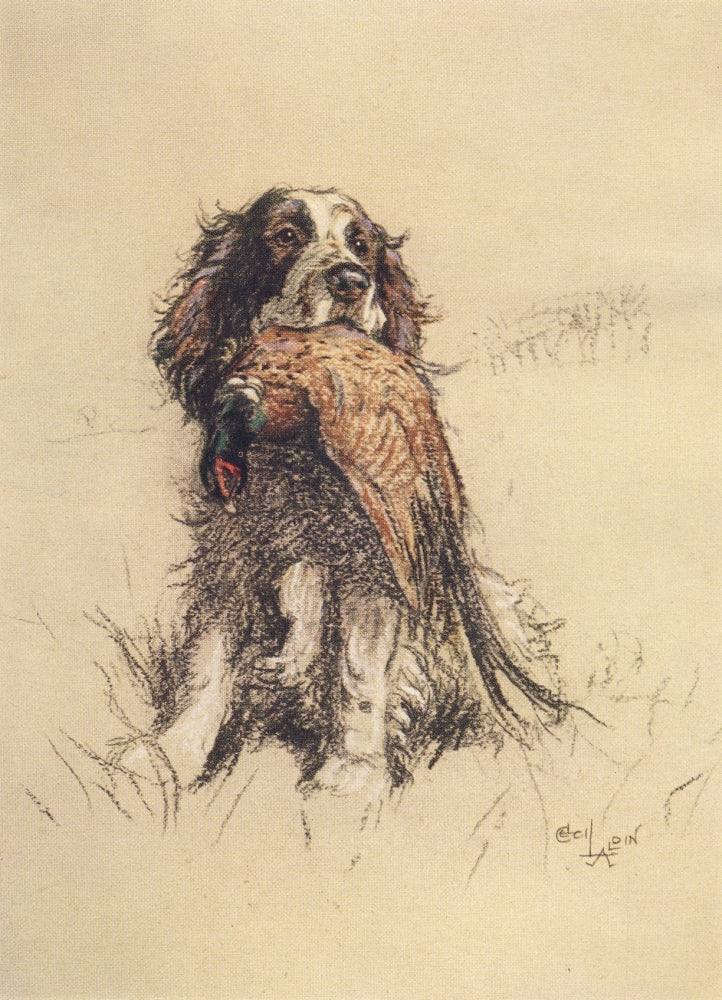 A Dozen Dogs or So 1928 poster print featuring Nell the spaniel pup by Cecil Aldin
