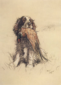 A Dozen Dogs or So 1928 poster print featuring Nell the spaniel pup by Cecil Aldin