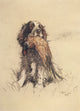 A Dozen Dogs or So 1928 poster print featuring Nell the spaniel pup by Cecil Aldin