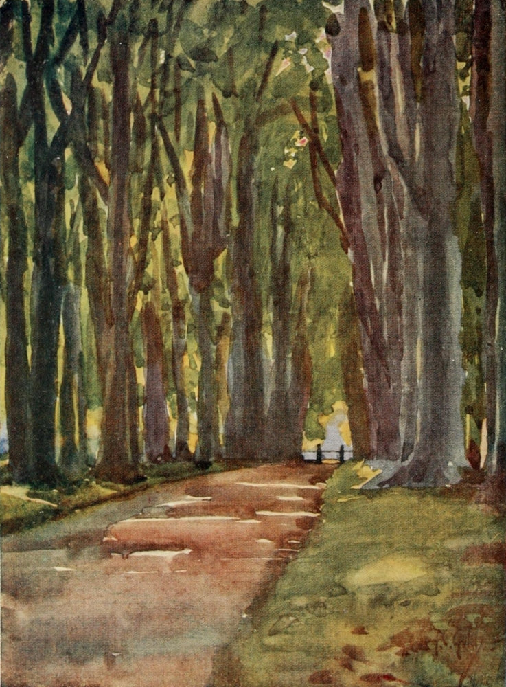 Round about Wiltshire 1907 in Savernake Forest Poster Print by Thomas Cooper Gotch.