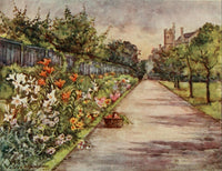 London Parks & Gardens 1907 Herbaceous Border Poster Print by Lady V. Manners
