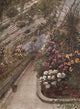 Kew Gardens 1908 Greenhouse Poster Print by T. Mower Martin