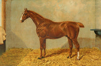 The Horse 1906 Chestnut Hunter Gelding Art Print by James Clark