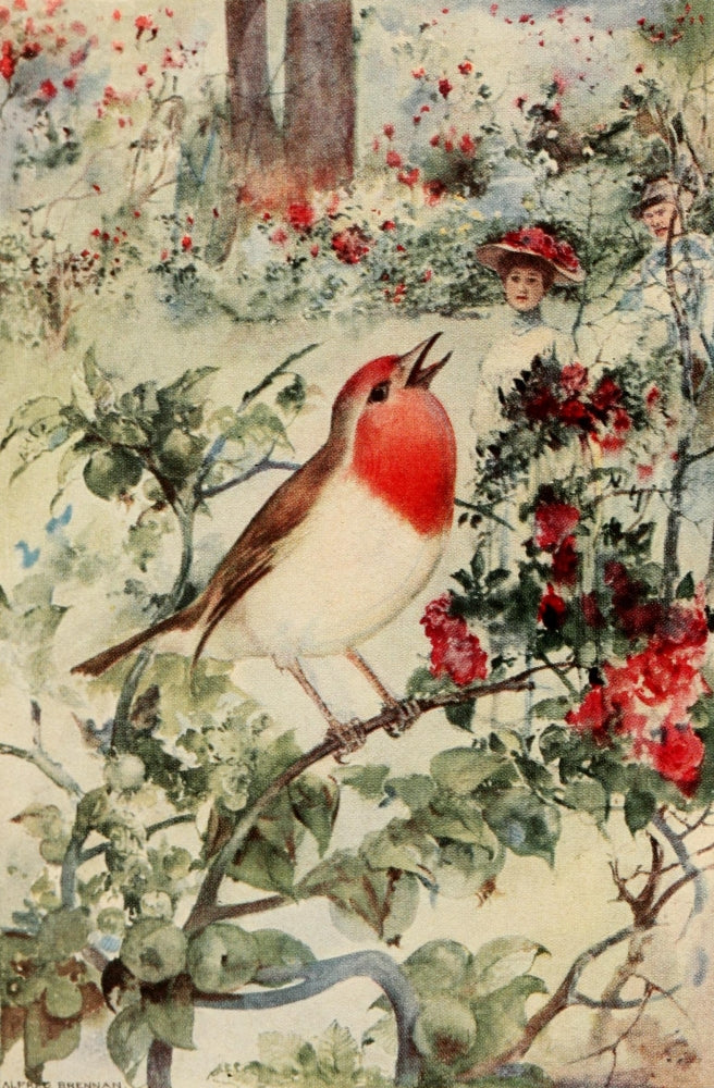 My Robin 1912 Art Poster Print by Alfred Brennan featuring a vibrant robin illustration.