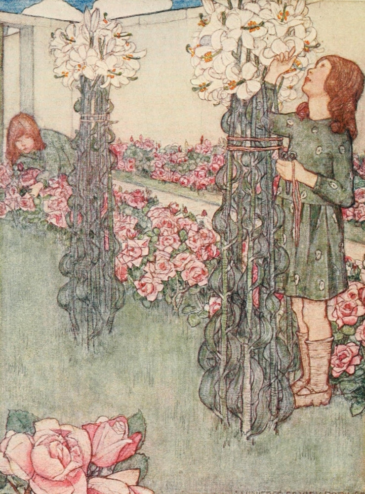The Children's Book of Gardening 1909 Lilies & Roses Poster Print by Winifred Cayley-Robinson