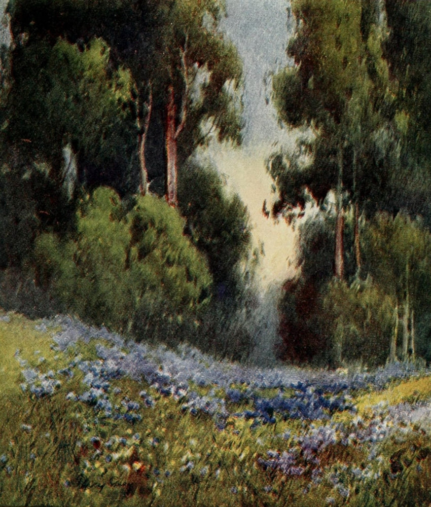 On Sunset Highways 1921 Forest Glade Poster Print by Henry Percy Gray