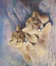 Lion cubs poster print from The Wonder Book of Animals by Lilian Cheviot.