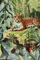 Burgess Animal Book Jaguar Poster Print by L.A. Fuertes