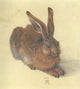 Hare Poster Print by Albrecht Dürer showcasing detailed artwork.
