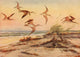 Hudsonian Curlew Birds of North Carolina 1919 Poster Print by R.B. Horsfall