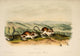 Quadrupeds of North America Pouched Jerboa Mouse Poster Print by J.W. Audubon