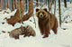 Wild Life of the World: Brown Bears Poster Print by Friedrich Wilhelm Kuhnert